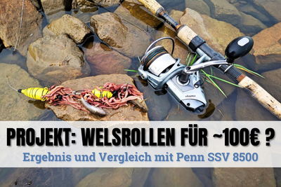Wels Rolle: Die beste Wallerrolle 2025 für wenig Geld