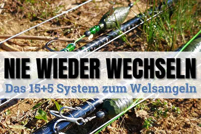 Welsmontage 15+5: Dudis Lieblingsrig für den Fluss